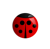 WadyBug LLC