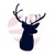 Web Design Columbia