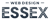 Web Design Essex