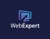 Web Expert