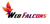 Web Falcons Technologies