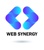 Web Synergy