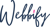 Webbify Infotech Pvt Ltd