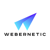 Webernetic