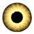 Webvisibility