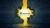Weryon Impex SRL