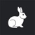 White Rabbit Group Inc
