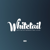 Whitetail Websites
