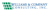 Williams & Company Consulting, Inc.