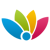 Winfy Software