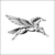 Wings Design Studio