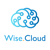 Wise Cloud