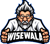 WiseWala Web Design