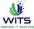 WITS Western Information Technology Services LLC