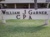 wjg & Assoc PLLC
