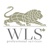 WLS Professional Services