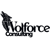 Wolforce Consulting