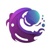 Wonder Web Development