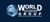 WORLD ACCOUNTING GROUP INC.