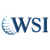 WSI Peak Digital Strategy