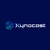 Xynocast Consultancy Services