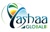 YashaaGlobal