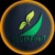 Youth Fire IT