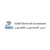 Zaidi Accountant
