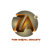 Zaisha Technologies