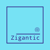 Zigantic