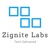 Zignite Labs
